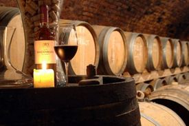 Vinaři plánují vyrobit až 750 tisíc hektolitrů vína, což pokryje domácí spotřebu ze 40 procent.
