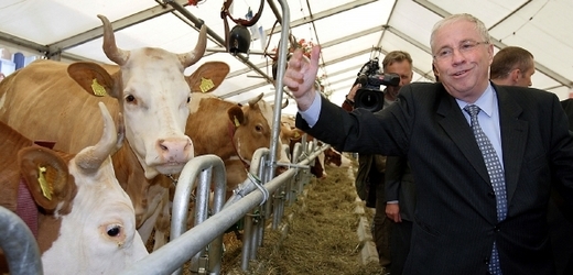 Předák SVP Christoph Blocher nedá na švýcarské krávy dopustit.