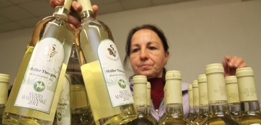 Na trh se dostávají jen kvalitní svatomartinská vína, která kontroluje Vinařský fond.