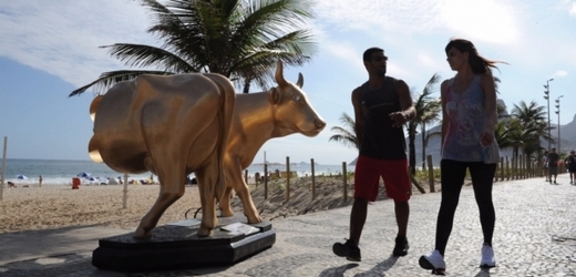 Výstavy v Riu de Janeiro se "účastní" 59 krav.