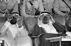 Vládnoucí rodina Al-Nahjánů je jedním z největších protiteheránských "jestřábů" mezi monarchiemi Perského zálivu. Prezident SAE pozoruje vojenské manévry se saúdským králem.