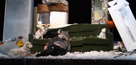 Psi a gauče z mnichovského divadla na scéně divadla vinohradského.