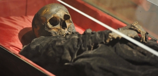 Do katakomb na klatovském náměstí se vrátily vzácné mumie ze 17. století.