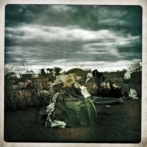 V utečeneckém táboře Dadaab nyní přežívá zhruba 450 tisíc Somálců a Keňanů. Jednotlivá přístřeší, přesněji zábrany proti větru, většinou vypadají jako to na snímku: jsou "zkonstruované" z místních křovisek a potrhaných plachet.