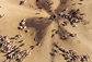 Velbloudi a jejich chovatelé nesoucí vodu ve vědrech od studny (kulatý otvor ve středu) na snímku National Geographic a Google Earth z projektu Africký velký přelet v Nigérii.