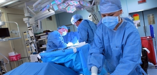 V pražském Institutu klinické a experimentální medicíny se na transplantace ledvin specializují.