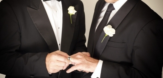 Homosexuální páry v Dánsku by měly mít brzy možnost uzavírat církevní sňatky (ilustrační foto).