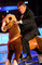 Cenu Karlu Gottovi, vítězi kategorie zpěvák roku, předal osminásobný vítěz Velké pardubické žokej Josef Váňa. Na pódium přihopsal v sedle plyšového koně a vzápětí slíbil, že pokud Gott dorazí v říjnu do hlediště v Pardubicích, postaví se znovu na start neslavnějšího tuzemského dostihu.  