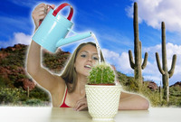 Pěstování kaktusů už nebude trestné.