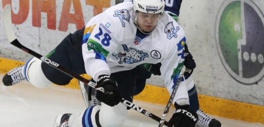Český hokejista Kamil Kreps.