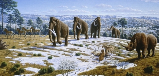 Bílkoviny z mamutího těla se uchovaly ve zmrzlé sibiřské půdě 43 tisíc let.