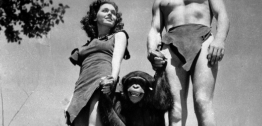 Šimpanz Cheetah ve filmu o Tarzanovi.