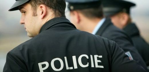 Policie vyšetřuje krádež sochy za 300 tisíc korun (ilustrační foto).