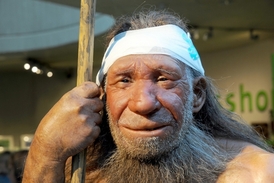 Rekonstrukce podoby neandertálce, jehož geny v sobě nosíme.