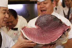 Ryba váží 269 kilogramů, jeden kilogram tak podnikatele Kijošiho Kimuru vyšel na 210 tisíc jenů.