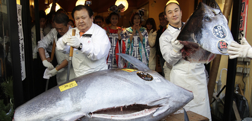 Tuňák vydražený za 56,49 milionu jenů.