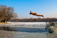 Bláznivý milovník plavání skáče do ledové vody během ranní rozcvičky v Šen-jangu, hlavním městě severovýchodní čínské provincie Liao-ning. (Foto: profimedia.cz)