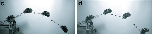Roboti s nepohyblivým ocasem přepadali dopředu. Jeho aktivní zapojení do řízení pohybu umožnilo polohu stabilizovat.