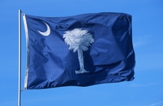 Vlajka Jižní Karolíny.