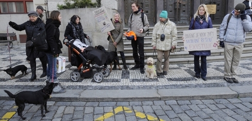 Majitelé psů v Praze demonstrovali proti solení chodníků.