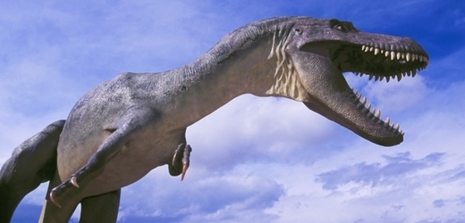 Tyrannosaurus rex (ilustrační foto).
