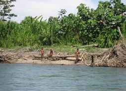 Členové kmene Mashco-Piro také několikrát zaútočili na osoby, které se poblíž říčních břehů objevily. 