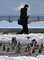 Muž prochází kolem vrabců zahřívajících se na mřížce od ventilace metra v ukrajinském Kyjevě. Teplota tam ve čtvrtek klesla na minus 27 stupňů Celsia. (Foto: profimedia.cz)