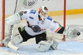 Za tým Lva chytal v letošní sezoně i gólman Tomáš Duba.