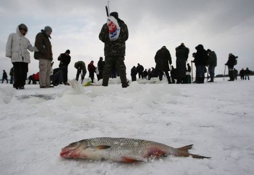 Ukrajinci loví ryby pod ledem Dněpru.
