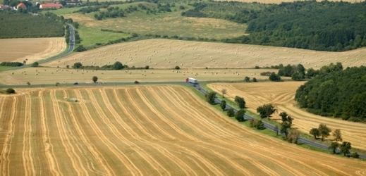 Zisk českého zemědělství loni vzrostl více než 2,5násobně na 13,5 miliardy korun.