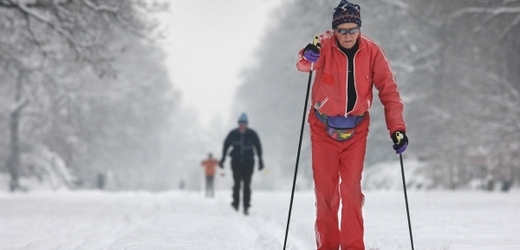 Kvalitu lyžařské stopy můžete sledovat na internetu (ilustrační snímek).