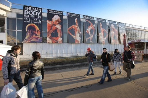 V Křižíkově pavilonu na Výstavišti začala 9. března výstava exponátů připravených z lidských těl.