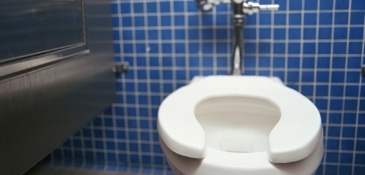 Čistá toaleta může potěšit i na opuštěném ostrově (ilustrační foto). 