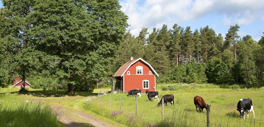 Švédsko rozdává pozemky zdarma (ilustrační foto).