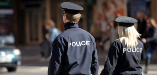 Městská policie na řadě míst v republice posiluje (ilustrační foto).