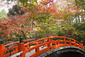 Kjóto je považováno za kulturní centrum Japonska. Během druhé světové války byla japonská města těžce poničena, pouze Kjóto a jeho chrámy, svatyně, paláce i zahrady byly ušetřeny. Díky tomu je dnes Kjóto jedním z nejlépe uchovaných měst v Japonsku. V Kjótu se nacházejí některé z nejznámějších chrámů, svatyň, paláců a zahrad v Japonsku. (Foto: profimedia.cz)