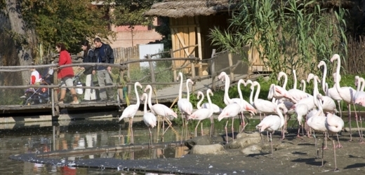 Pražská zoologická zahrada.