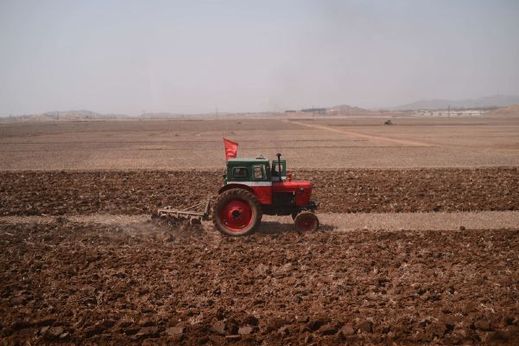 Na pečlivě obdělávaných polích je častěji než traktory vidět vychrtlé voly.