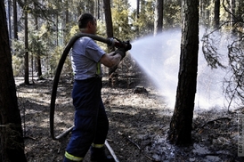 Hasiči o víkendu likvidovali několik požárů lesa.