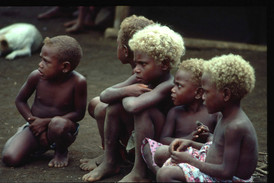 Blond vlasy má asi desetina obyvatel Šalamounových ostrovů.