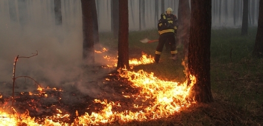 Plameny zachvátily asi 200 hektarů lesa mezi Bzencem, Strážnicí a Ratíškovicemi.