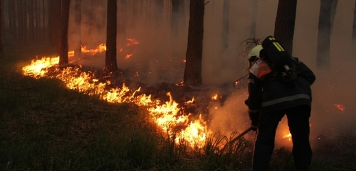 Hasiči již uhasili tři čtvrtiny požáru, který vypukl u Bzence na Hodonínsku. 