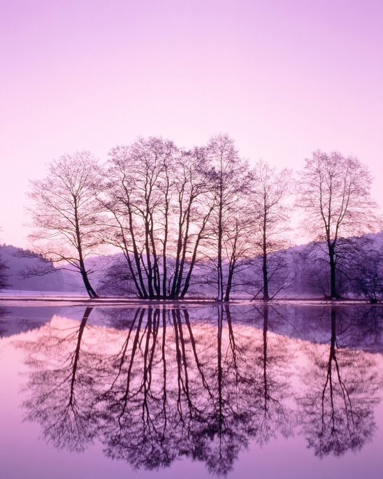"Růžové" jezero.
