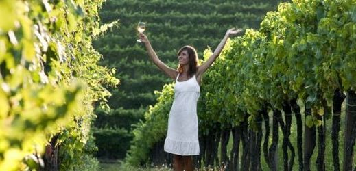Moravští vinaři mají po klání ve Slovinsku co slavit (ilustrační foto).