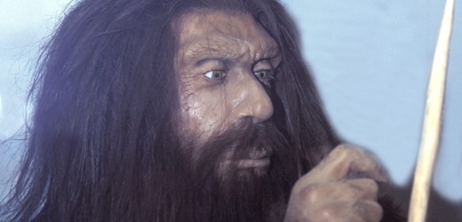 Neandertálci znali účinky léčivých rostlin, zjistili vědci (ilustrační foto).