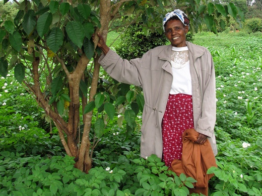 Rachel, Mt Kenya. Rachel začala sázet stromy před šesti lety, některé ze sazenic se převážely také na nedalekou Mount Kenya. Je to asi půl hodiny autem od vesnice, Rachel přesto 