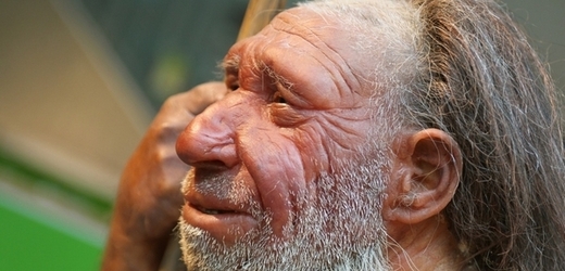 Neandertálci doplatili na příchod našich předků.