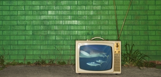 Vysílání DVB-T2 umožňuje přijímat televizní programy v HD kvalitě (ilustrační snímek). 