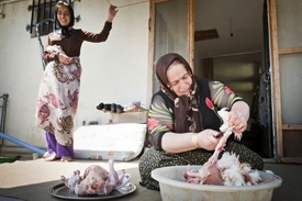 Kuřecí patří k základům perské kuchyně.