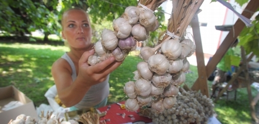 V Buchlovicích se koná 11. ročník festivalu, který propaguje česnek.